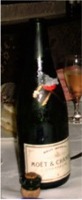 The Champagne Bottle & Cork !